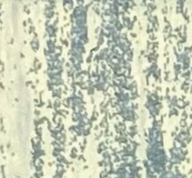 A1220190