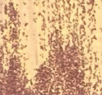 A1220790